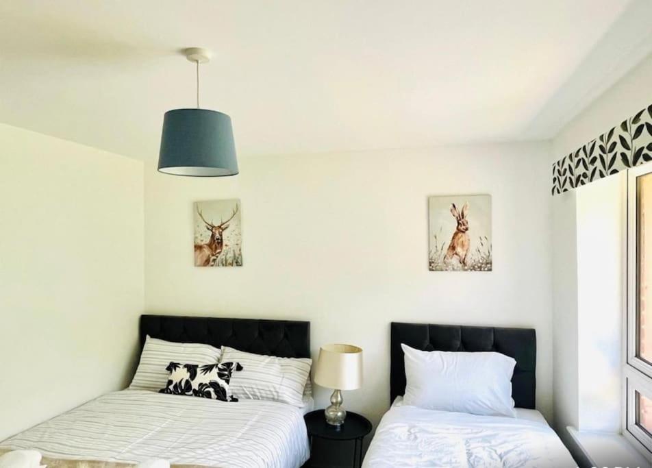 Ashford Retreat - Luxury Home With Double Parking Extérieur photo