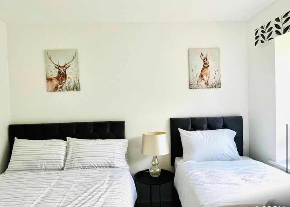 Ashford Retreat - Luxury Home With Double Parking Extérieur photo